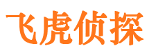 柯城侦探公司